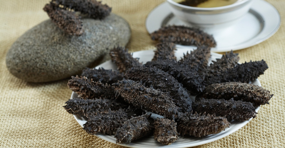 春季到底怎么吃海参，营养吸收好？