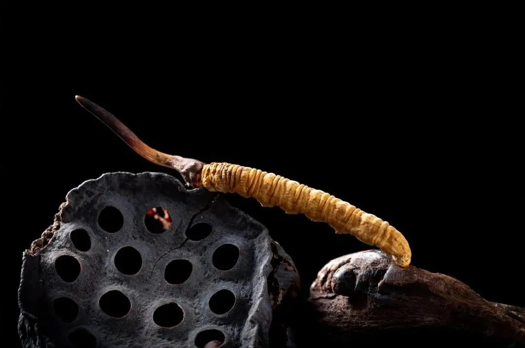 640.webp.jpg 640.webp.jpg