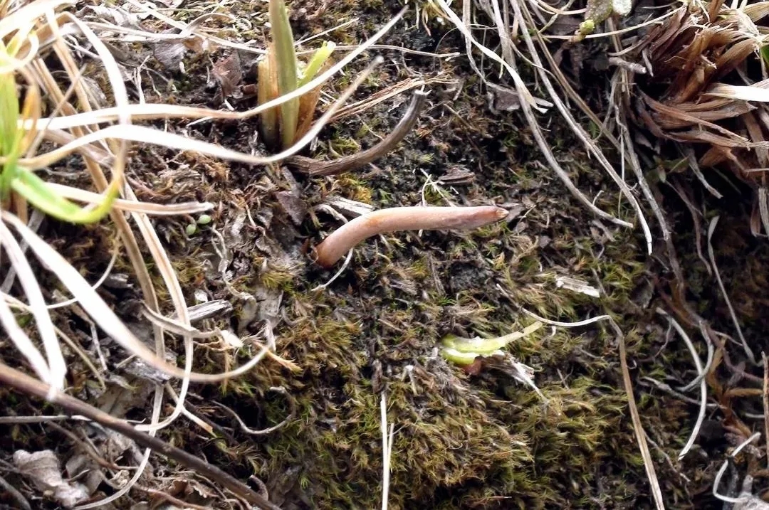 640.webp (3).jpg 640.webp (3).jpg