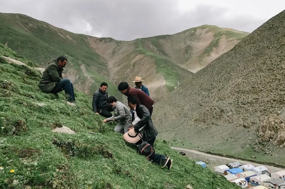 640.webp (4).jpg 640.webp (4).jpg