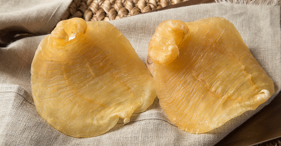 夏季花胶要这样吃,滋补又护肤,省下大笔美容钱!